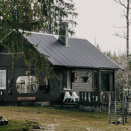 Private Farm Jakuzzi Sauna In The Forest Talsi Bagian luar foto