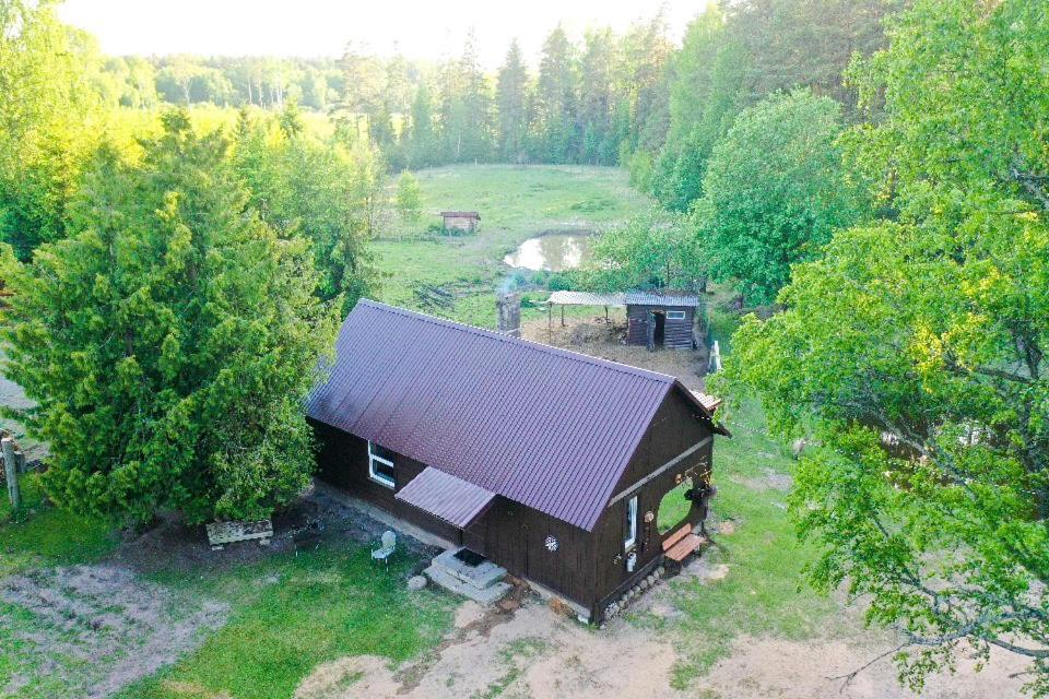 Private Farm Jakuzzi Sauna In The Forest Talsi Bagian luar foto