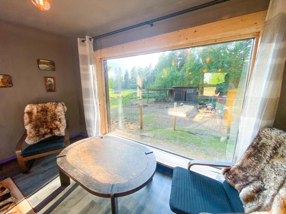 Private Farm Jakuzzi Sauna In The Forest Talsi Bagian luar foto