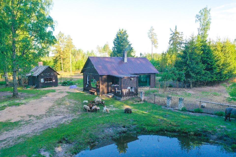 Private Farm Jakuzzi Sauna In The Forest Talsi Bagian luar foto