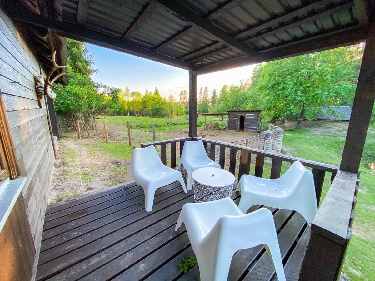Private Farm Jakuzzi Sauna In The Forest Talsi Bagian luar foto