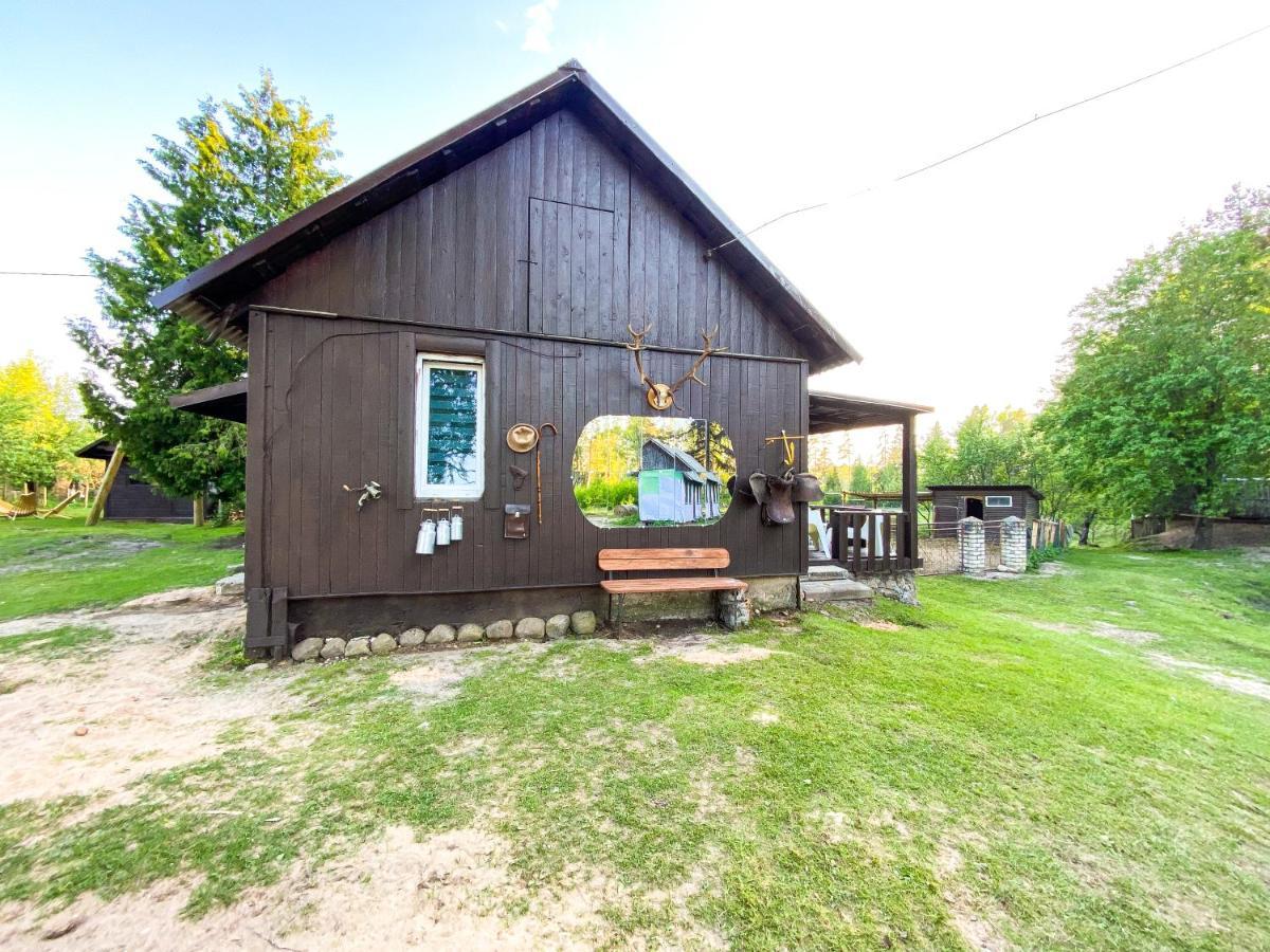 Private Farm Jakuzzi Sauna In The Forest Talsi Bagian luar foto