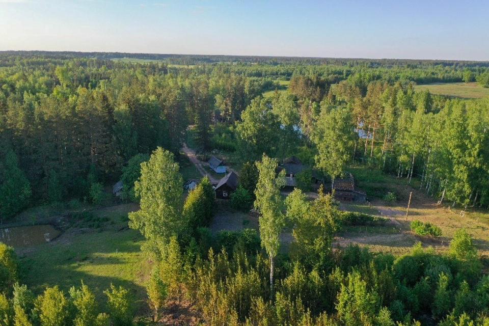 Private Farm Jakuzzi Sauna In The Forest Talsi Bagian luar foto