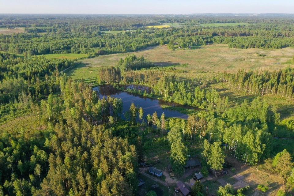 Private Farm Jakuzzi Sauna In The Forest Talsi Bagian luar foto