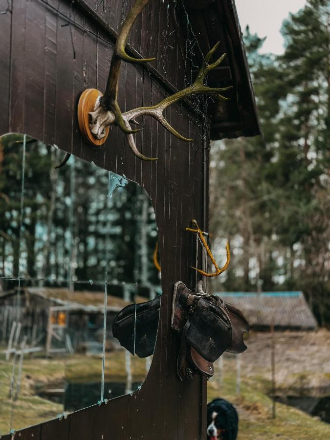 Private Farm Jakuzzi Sauna In The Forest Talsi Bagian luar foto
