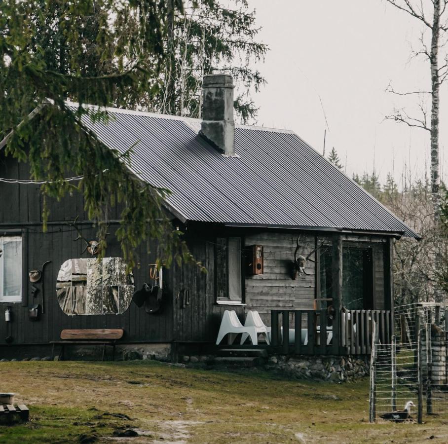 Private Farm Jakuzzi Sauna In The Forest Talsi Bagian luar foto